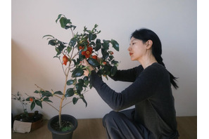 イ・ヨンエ、花と過ごす豊かな日常に羨望の眼差し…椿のアート作品に“大満足”【PHOTO】 画像