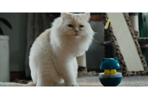 カタールの保護猫たちを大移送『猫たちと7000マイルの旅』監督インタビュー　入場者特典＆Tシャツ販売も決定 画像
