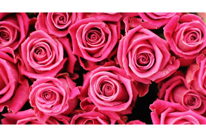 “バレンタイン”は男も女も「期待する」？　恋活＆婚活のド直球・調査結果発表 画像