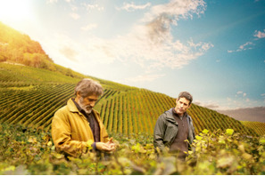 【予告編】世界的ワインの産地で紡ぐ家族の物語！『ブルゴーニュで会いましょう』