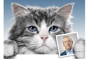 【特別映像】あの大ヒット“入れ替わり”映画をパロディ！『メン・イン・キャット』