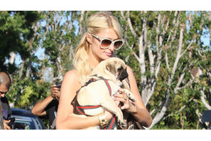 今度はコカイン所持容疑！　パリス・ヒルトン、ラスベガスで逮捕される