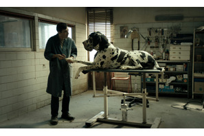 マッテオ・ガローネ監督最新作、犬たちが目撃する不条理な人間の世界…『ドッグマン』予告編