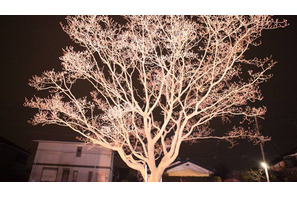 世界中が待ち望んだ園子温最新作『希望の国』　個性派キャストが新たに発表！