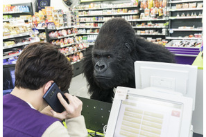 深夜のコンビニにゴリラ参上!?『シークレット・ジョブ』本編映像