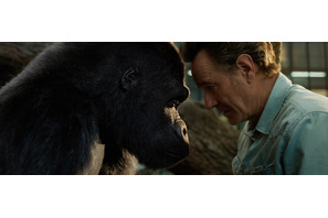 『ゴリラのアイヴァン』監督＆キャストが大切にしていた「実話であること」