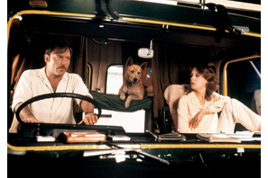 45年を経て日本初公開 リチャード・フランクリン監督作『ロードゲーム』10月31日より公開