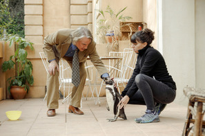 「受け入れること、それが最高の瞬間を生むことも」 名優スティーヴ・クーガンがペンギンとの共演で得た人生の教訓とは？『ペンギン・レッスン』