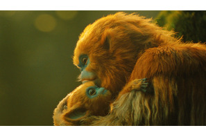 ふしぎな生き物・オチの生態に迫る、A24初の本格ファンタジー『OCHI！-オチ-』ネイチャードキュメンタリー風特別映像