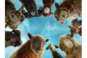 ヒュー・ジャックマン主演の新感覚ミステリー『ひつじ探偵団』もふもふカット公開！