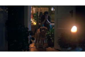 “何か”が見える…犬のインディ、飼い主を守るため奮闘　全編犬視点のホラー映画『GOOD BOY／グッド・ボーイ』特報＆本ポスター