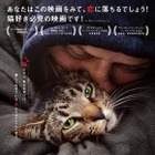 『猫と、とうさん』DVD12月リリース 映画から3年後の現在捉えた特典映像も収録 画像