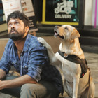 インド発、孤独な男と犬の人生再出発の旅が始まる『チャーリー』本予告 画像