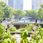 「ラブトラ」ロスの人必見！ 最新“恋リア”作品「隣の恋は青く見える」に注目 画像