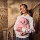 『ハリー・ポッター』シリーズの春限定グッズ登場「ワーナー ブラザース スタジオツアー東京」 画像