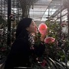 女優イ・ヨンエ、椿の庭園でエレガントさ全開！まるで“絵画のような”近況写真【PHOTO】 画像