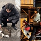 シン・ハギュン×野良猫、“猫×猫の無害な癒やしのツーショット”で心が洗われる【PHOTO】 画像