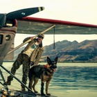 ブラッド・ピット主演、アラスカ舞台に退役軍人と愛犬“バディ”のサバイバル描く『ハート・オブ・ビースト』9月全世界同時公開 ティザー予告解禁 画像