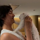 俳優コン・ユ、愛猫コンコンの旅立ちを追悼「僕と似ている君が好きだった」【写真】 画像