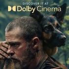 ブラッド・ピット主演『ハート・オブ・ビースト』MX4D・4DX・Dolby Cinemaでの上映が決定 画像