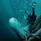 災難続き？なハリウッド最旬俳優オースティン・エイブラムスが今回も極限の演技『クジラに落ちた男』見どころ深堀り 画像