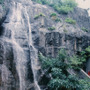大自然のパワーを感じる…！ 滝を見ながら味わう絶品フレンチ 画像