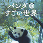 ジャイアントパンダの一生に迫るドキュメンタリー『パンダのすごい世界』2026年2月6日公開 画像