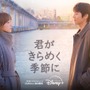 チェ・ジョンヒョプ待望の最新作『君がきらめく季節に』Disney+で2月20日より独占配信 画像