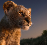 “シンバ”ドナルド・グローヴァーのアフレコ公開『ライオン・キング』 画像