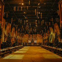 天井に400本のキャンドル浮かぶ圧巻の光景！「ホグワーツ・イン・ザ・スノー」明日から 画像