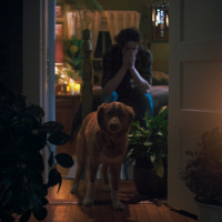 “何か”が見える…犬のインディ、飼い主を守るため奮闘　全編犬視点のホラー映画『GOOD BOY／グッド・ボーイ』特報＆本ポスター 画像