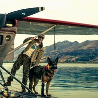 ブラッド・ピット主演、退役軍人と愛犬“バディ”のサバイバル描く『ハート・オブ・ビースト』9月全世界同時公開 ティザー予告解禁 画像