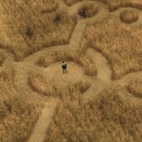 世界を揺るがす“真実”とは…絶賛の声相次ぐ スピルバーグ最新作『ディスクロージャー・デイ』場面写真が解禁 画像