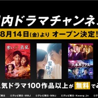 ABEMAが「国内ドラマチャンネル」開設、「星降る夜に」「ホリデイラブ」など100作品以上が無料に 画像