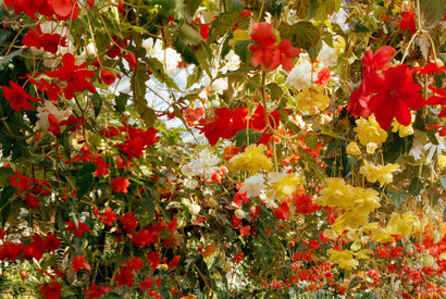 原宿・表参道・青山がアートで盛り上がる「青参道アートフェア」、今年は“写真”にフォーカス 画像
