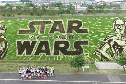 『スター・ウォーズ』田んぼアート、公式“見ごろ宣言”！ 世界へと発信 画像