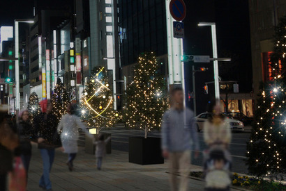 209本のツリーが東北復興を祈る！イルミネーション「ヒカリミチ」 画像