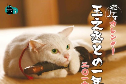 『猫侍』白い美猫・玉之丞の萌えまくる初カレンダー発売決定！ 画像