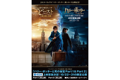 『ハリー・ポッターと死の秘宝』、『ファンタビ』直前に初4DX上映！主人公が並ぶポスターも解禁 画像