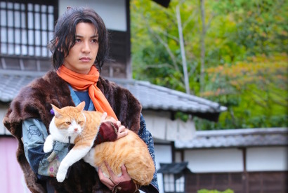 『猫忍』『ねこあつめの家』ほかキュートな猫映画が続々公開 画像