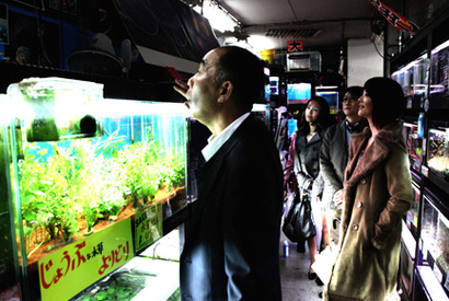 キーワードを集めて幻の“超過激”映像を観よう！『冷たい熱帯魚』動画キャンペーン 画像