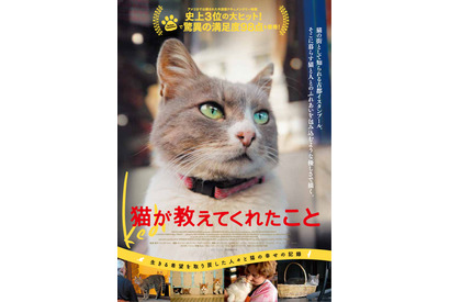 猫と人々の幸せな関係…ドキュメンタリー『猫が教えてくれたこと』公開決定 画像