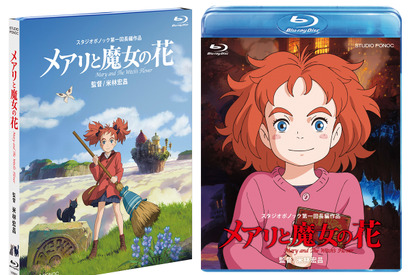 杉咲花＆神木隆之介出演『メアリと魔女の花』3月にBD＆DVD化！ 画像