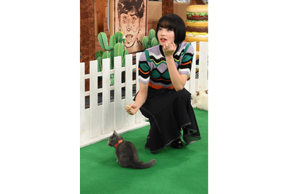 知念侑李＆小松菜奈、3万ボルトの電流ビリビリで大絶叫!?「ウチのガヤがすみません！」 画像