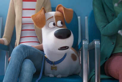 『ペット』最新作、2019年夏公開決定！ 新たな仲間が加わった日本版特報も 画像