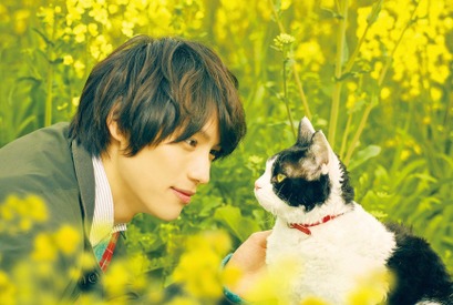福士蒼汰出演『旅猫リポート』未公開カットを追加した「TV特別版」を放送 画像