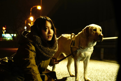 吉岡里帆のバディは勇敢な“盲導犬”！「安定した気持ちでいられた」 画像