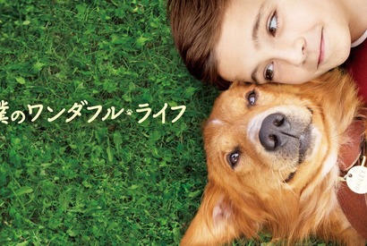 最新作に繋がる犬と人間の感動物語『僕のワンダフル・ライフ』地上波初放送 画像