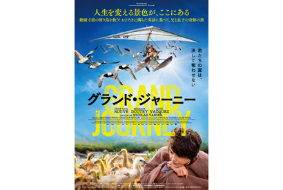 絶滅寸前の渡り鳥を救う ニコラ ヴァニエ監督最新作 グランド ジャーニー 公開 Cinemacafe Net