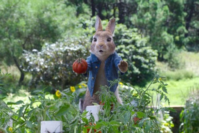 トマトを盗ったのは誰？ ピーターの姿が切ない本編映像独占入手『ピーターラビット２』 画像